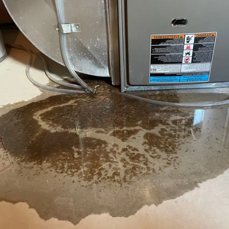 Pipe Burst and Leak Restoration in Bedford, MA